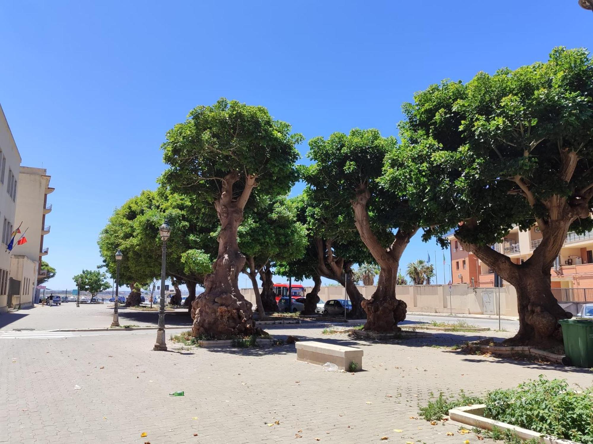 Alla Marina Da Pina Trapani Exteriör bild